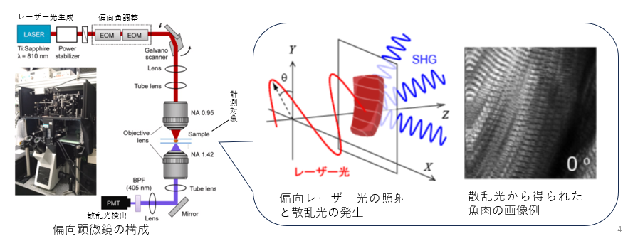 渡邉朋信先生の研究成果記事の写真１